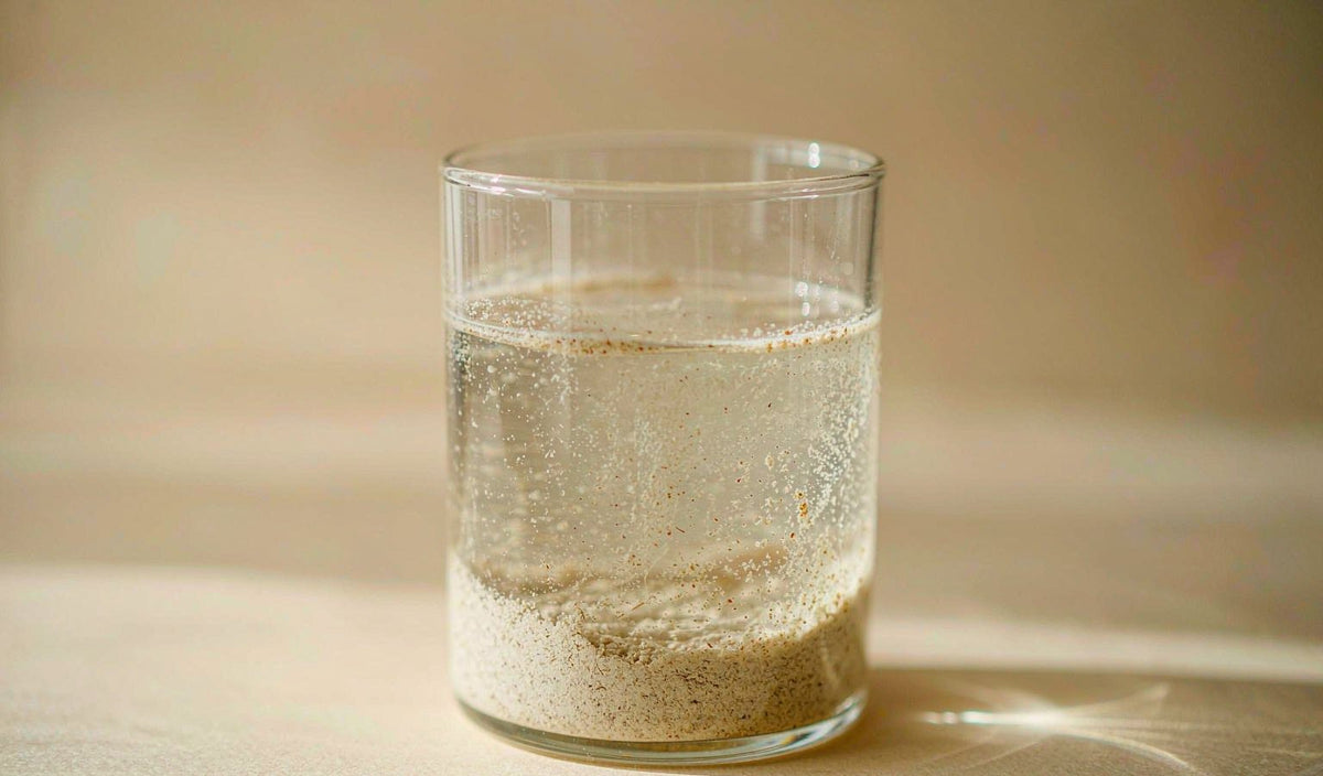 Empty Stomach or Full Stomach for Zinc: Let Tolerance Decide