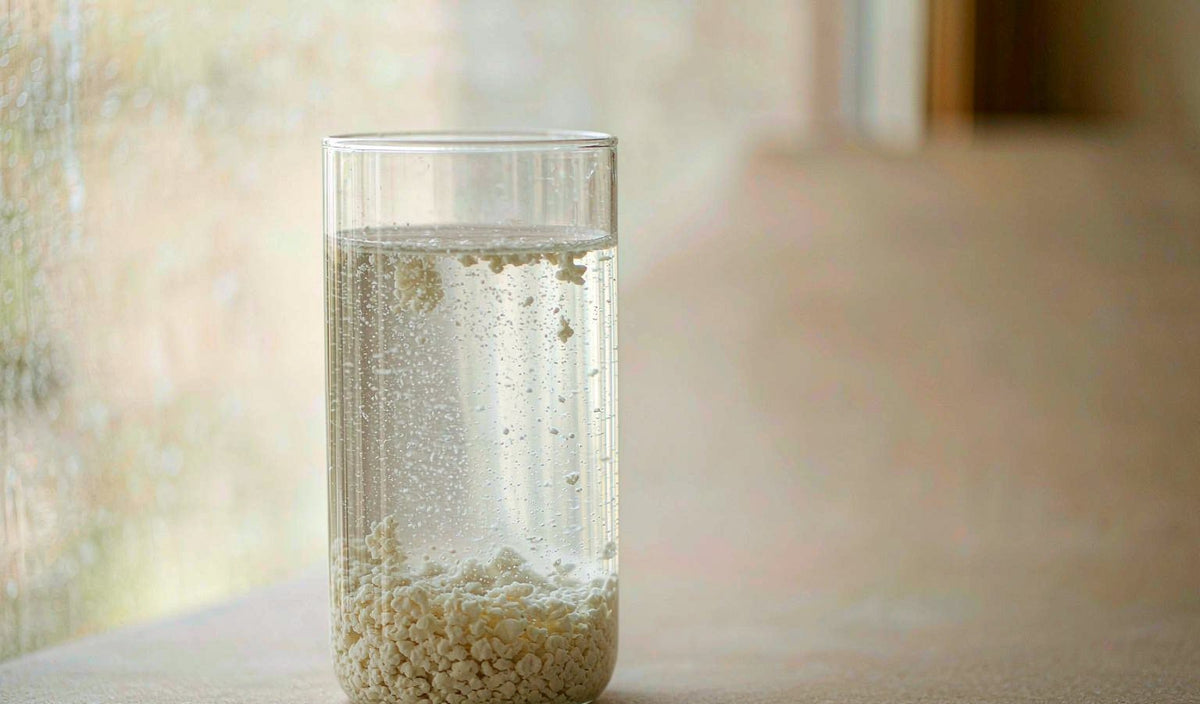 Heme Iron vs Non Heme Iron: Why Absorption Differs