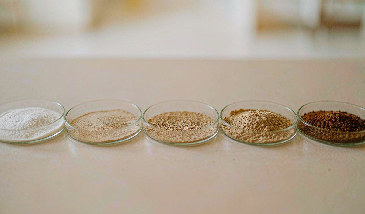 Magnesium oxide vs taurine on absorption and cost