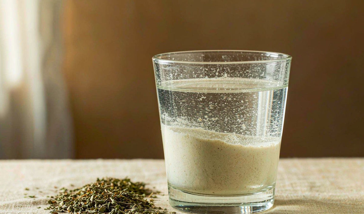 Garlic oil macerate and the stomach question