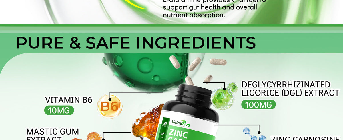 Zinc L-Carnosine with Mastic Gum - Chelated Zinc Complex with DGL and L-Glutamine - Product scene 3