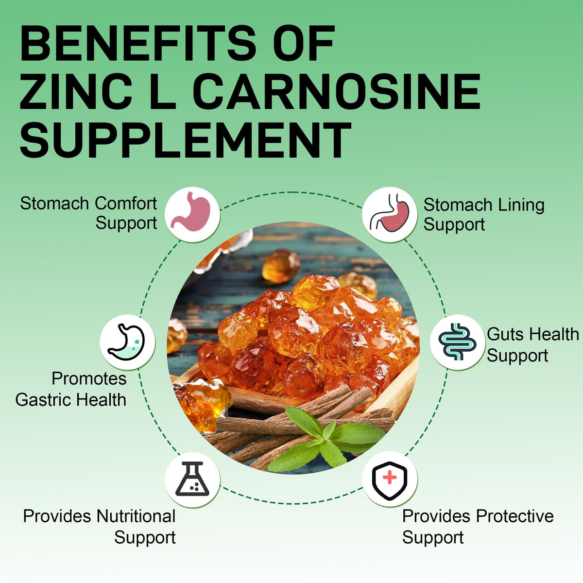 Zinc L-Carnosine Complex with Mastic Gum - additional product image 4